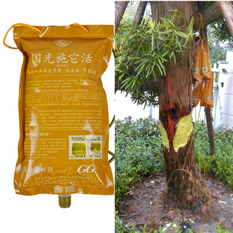 Guoguang applies its living root agent plant nutritional fluid generic tree infusion needle activated liquid to send drill bit