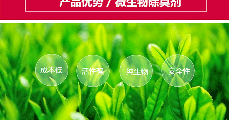Khử mùi vi sinh vật trang trại khử mùi khô nhà vệ sinh bể phốt khử mùi nhà vệ sinh công cộng khử trùng chuồng khử trùng - Trang chủ vien tay long giat