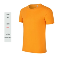 Круглая шея-оранжевый