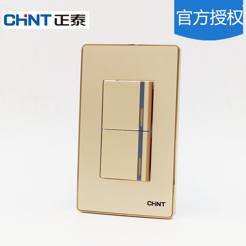 Chint Switch Socket 120 NEW9E Series 120*60 Socket Chint Two Open Double Cut Switch