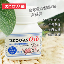 Japan Pet Hospital recommends Coenzyme Q10 Powder 20g for dogs and cats to protect the heart and cardiovascular nutrition aid