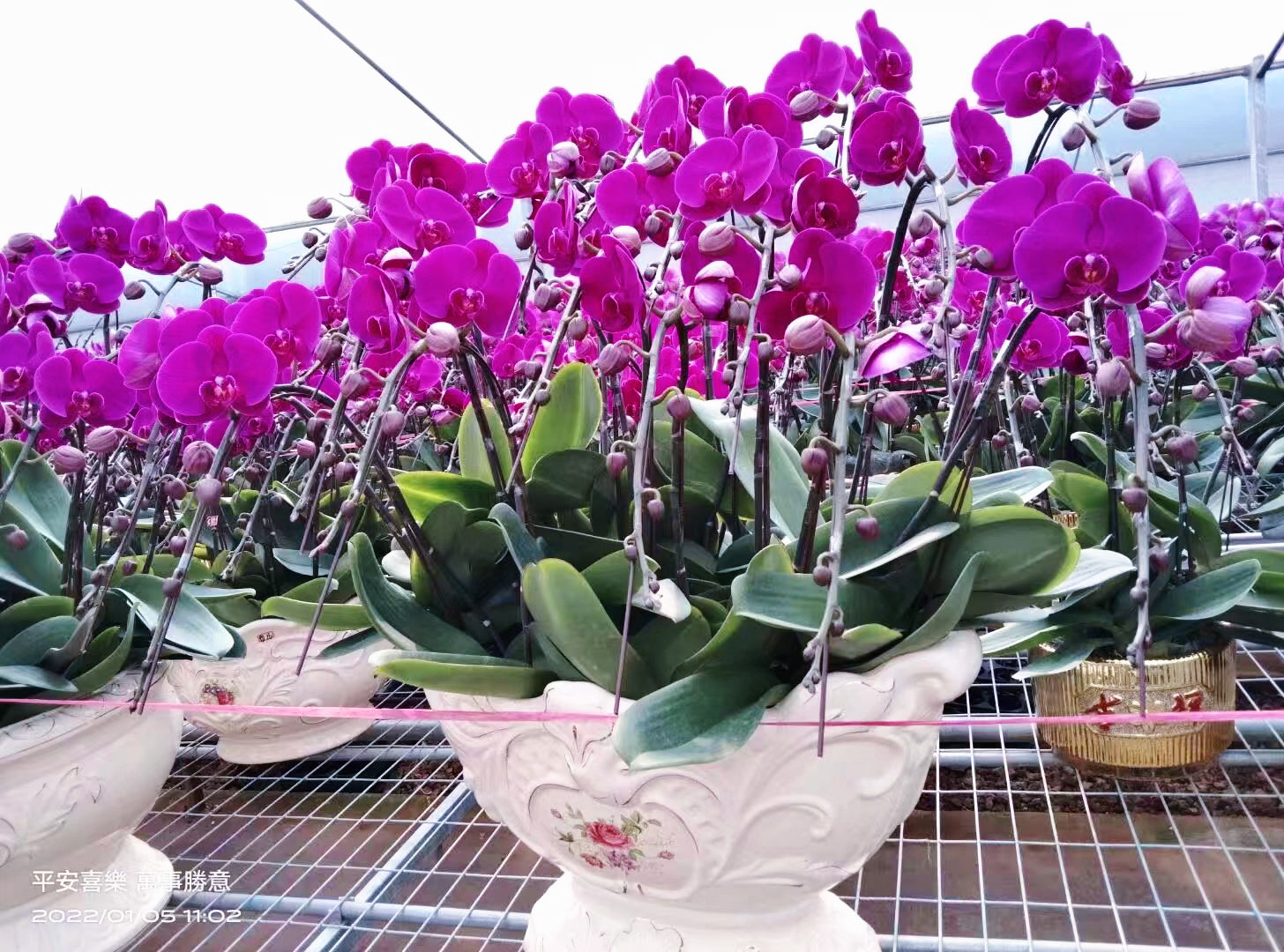 淘宝宝贝，你的商业天堂入口指南