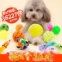 Pet puppy dog ​​toy ball vocal mol cắn đào tạo pug puppy puppy mèo đồ chơi cung cấp chó nhai - Mèo / Chó Đồ chơi bộ đồ chơi cho mèo