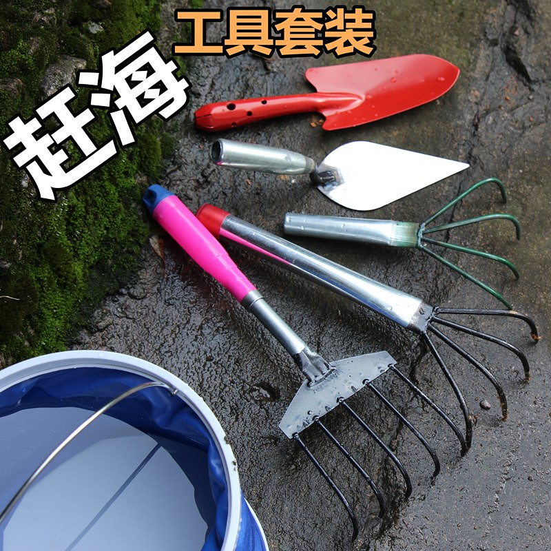 Catch Sea Tools Dig Sea Oysters Special Flower Clams Hoe Head Dig Crab Toddler Son Suit Oysters Small Hoe Shells