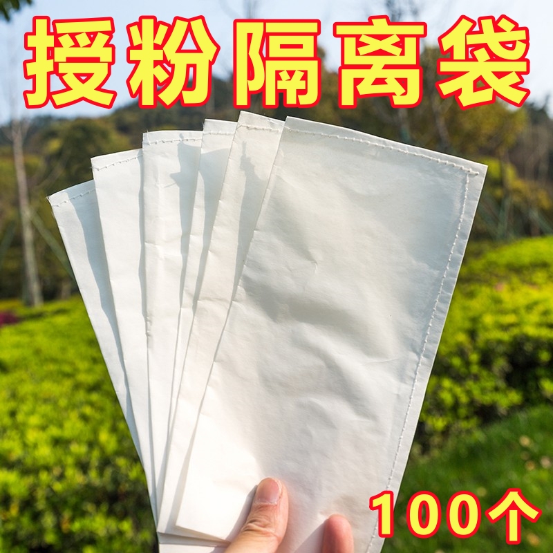 Isolation Breeding Bags, Pollination Bags, Waterproof and Tear-Resistant Parchment Paper Bags, Sewn Sulfuric Acid Paper Bags, Wheat and Corn Hybridization Bags Isolation Breeding Bags, Pollination Bags, Waterproof and Tear-Resistant Parchment Paper Bags, Sewn Sulfuric Acid Paper Bags, Wheat and Corn Hybridization Bags