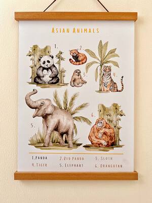 ins Children's educational English early education animal letters, wild Marine bird posters, home classroom decoration photos