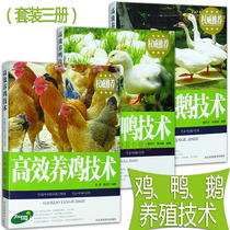 Spot high-efficiency chicken duck and goose breeding technology raising chickens ducks and Goose books new rural livestock and poultry breeding management high-efficiency goose technology training guidance disease prevention and control animal husbandry book