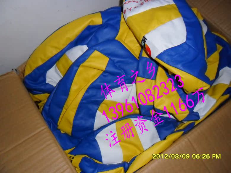 Ballon de volley-ball - Ref 2009342 Image 4