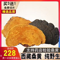 Mulberry yellow wild premium 500g Ganoderma lucidum The effect of natural wild authentic mulberry mulberry yellow in Tibet Autonomous Region