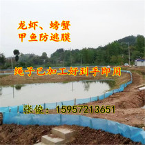 Lobster anti-escape film anti-escape net turtle crab breeding anti-escape plastic board pond wall