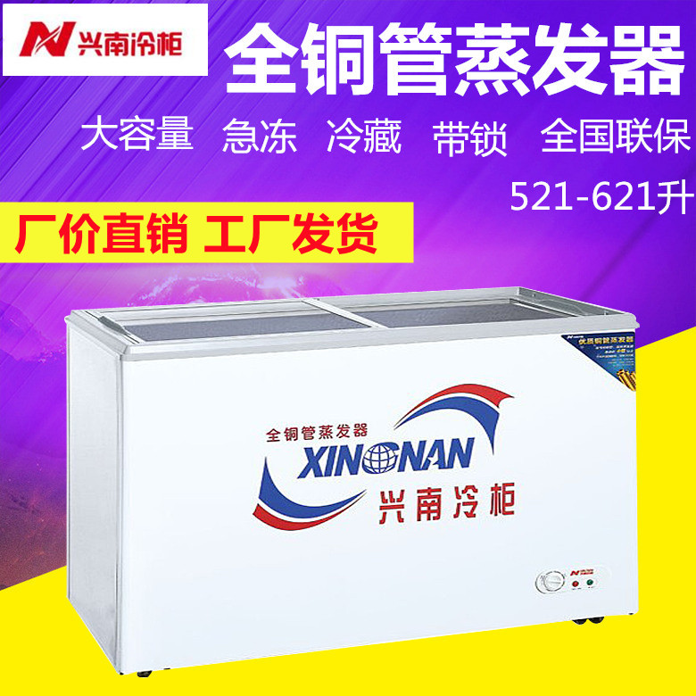 Xingnan Freezer Copper Tube Frozen Freezer Commercial Large Capacity Single Temperature Freezer with Lock WD WG-521 621