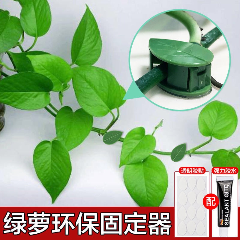 New upgraded blade type golden Ge holder Plastic vine green plant climbing wall fixing artifact Climbing indoor clip