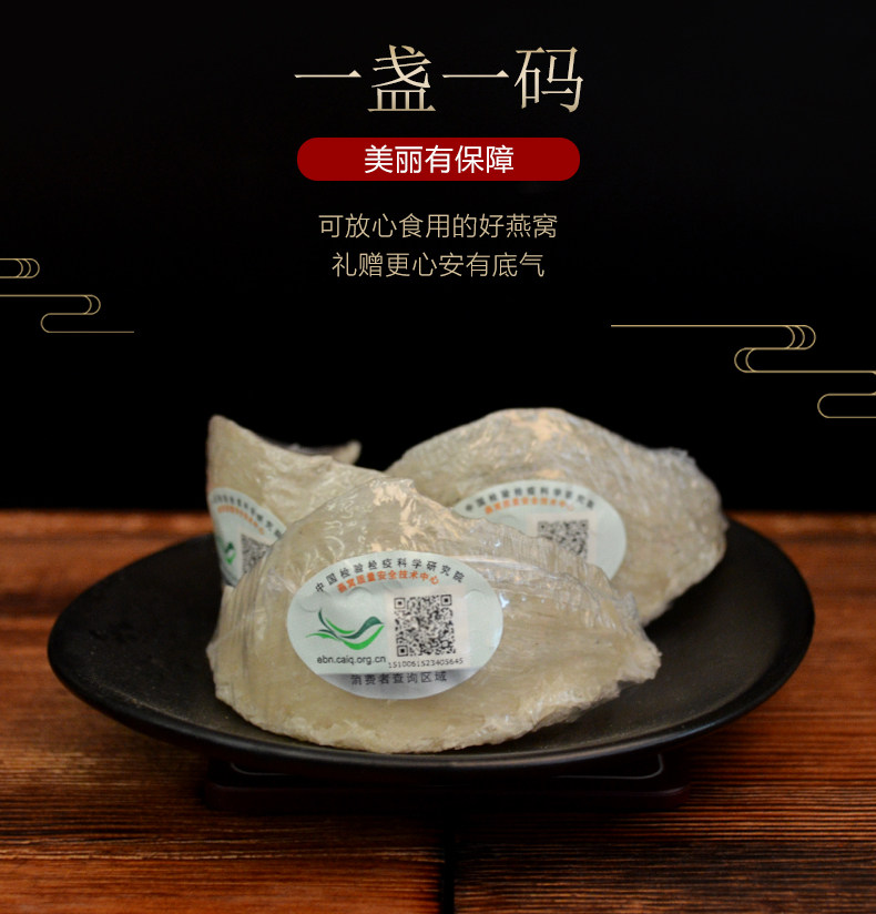 Bird's Nest_06.jpg