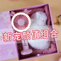 Summer small gift girl birthday gift primary school student 8-10 years old to girl girlfriends graduation season souvenir