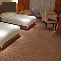 Carpet Whole Paved cement Thickened Carpet Whole Sheets Full of Soundproof Domestic Bedroom Living Room Office Guesthouse 3 m 4