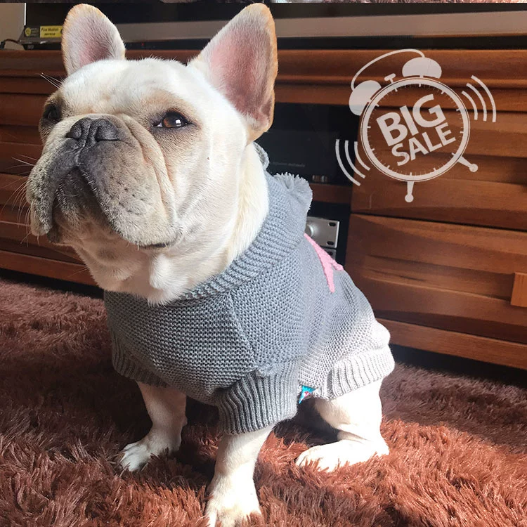 Pet chó quần áo len mùa thu và mùa đông dày hai chân quần áo chiến đấu hơn gấu Teddy áo len với mũ trùm đầu mặc giản dị - Quần áo & phụ kiện thú cưng áo cho mèo mùa đông