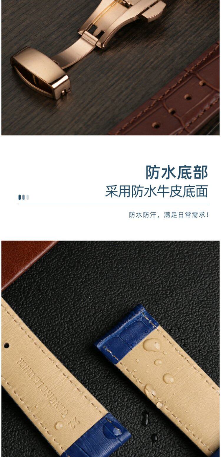 Аксессуары 蓝色表带男适配卡西欧edifice系列efr303/552d efb509/600 ecb900