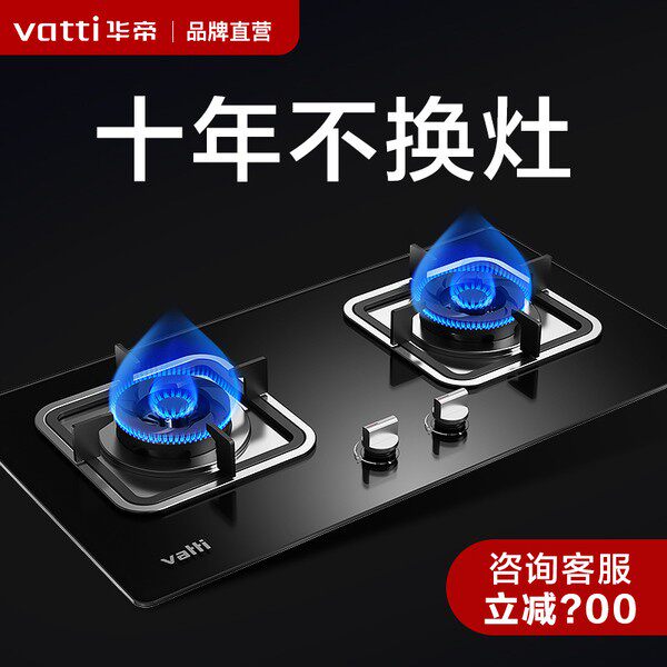 East China Gas stove 39B Home stove Gas liquefied gas Liquefied Gas Stove Twin Cooktop Official Flagship Store-Taobao