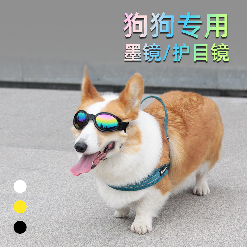 Pet glasses sun glasses dog sun glasses windproof corgi method Teddy model photo props dog goggles