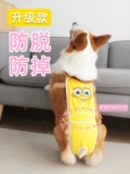 Собачья физиологические штаны мать Corgi Dou Dou Dou Dog Dog