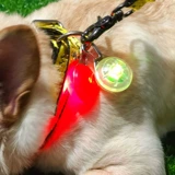 Светящаяся подвеска, чокер, защитный светящийся светящийся шар, домашний питомец, кот, анти-потеряшка