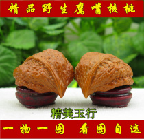 Wenwen walnut pure wild pig iron hemp walnut lion head half of the world shaped Big Eagle mouth walnut hand play parts