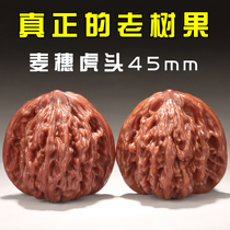 Wenwen Walnut Hall on tiger head hemp walnut play old tree lion Tiger hand plate walnut pair of wheat ear tiger head Walnut