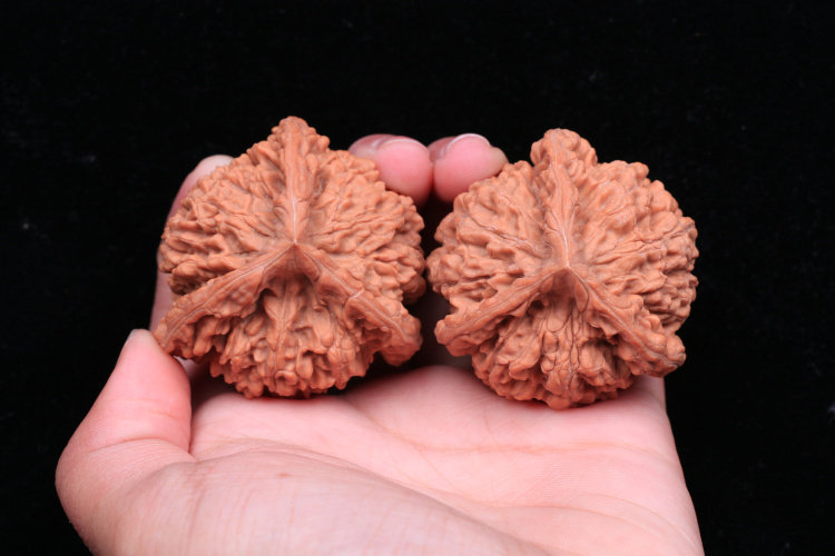 Wenwan walnut official hat with unicorn pattern three-edged big Ben toy with hand to play with alien Wang Yong 45 large size high-end collection