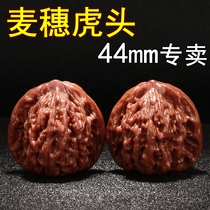 Wenplay walnut hand play walnut wild wheat ear tiger head walnut lion and tiger beast hand play piece nuclear pecan Wen play 44