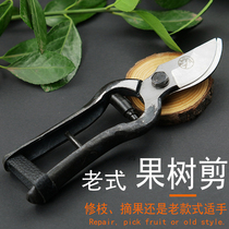 Wangyu hill trimming cut tree scissor gardening power saving strength cutting tree branch cutting tree garden tool flowery saving shear