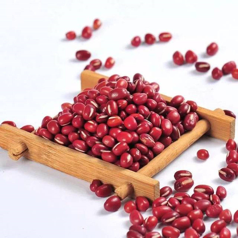 Guangxi Bama red bean farmers self-produced small red beans new bulk red beans five grains non-red beans 500g