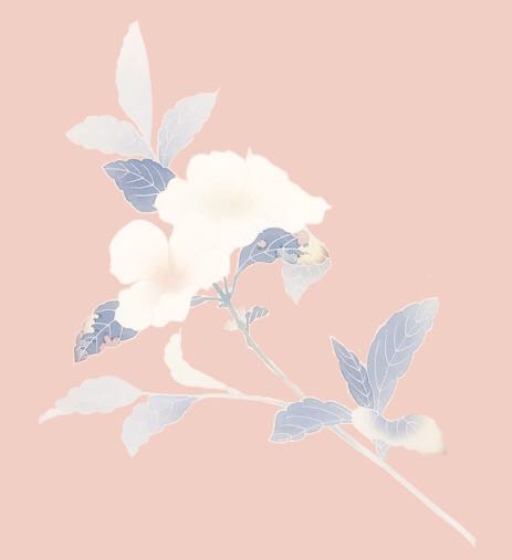 (Moon on the begonia) Republic of China flat cut silent piece of qipao fabric is reproduced in silk pattern