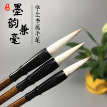 Ink Yun calligraphy and painting and brush students calligraphy Chinese painting practice special brush set large medium and small number set of beginners adult primary school students wolf sheep and sheep and regular script writing brush wholesale
