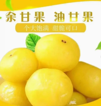 Independent Small Packaging Lover Fruit Crisp Sweet Oil GanYunnan Olive Oil Mandarin Oil Ggano Yu Gano Canmorte Fruit