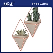 UMBRA Trigg wall decoration series wall decoration flower rack Nordic wall hanging green plant decoration 丨 Andi AD 