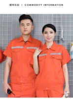 Половина оранжевого (широкий обратный) единственный верхний верх