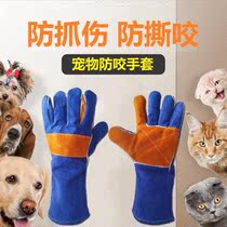 Pet shop anti-bite laboratory artifact anti-catch training dog supplies catch hedgehog catch snake catch mouse lizard protective gloves