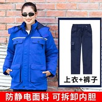 Янлан анти -статический 1003 набор [Top+обычные одиночные брюки]