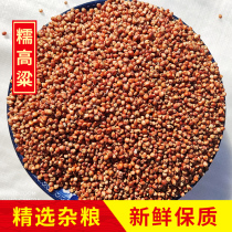 2020 New Red Sorghum glutinous red sorghum with skin glutinous sorghum shelled Sorghum Sorghum rice sticky red sorghum