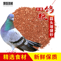 20 Jin pigeon soil health care sand nutrient soil garlic flavor nutrition red soil supplement calcium phosphorus calcium trace element pigeon feed