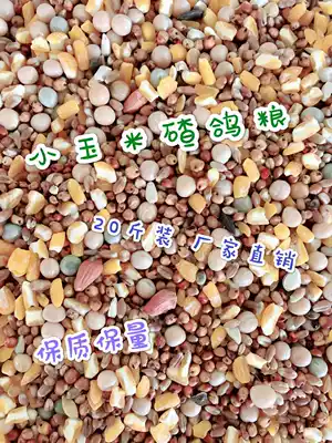 Small corn ballast pigeon food 20 kg of crushed corn young pigeons Race Xinfei ornamental pigeons carrier pigeons meat pigeon food 19 provinces