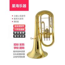 Euphonium instrument B flat three-key vertical key professional large horn brass instrument tuba