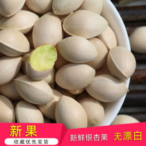 2021 fresh ginkgo fruit white kernel high quality big Buddha finger dried fried fried instant ready-to-eat recipe fruit opener