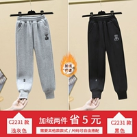 C2231 светло -серый (плиты)+C2231 Black (PLEL) [5 Юань провинция]