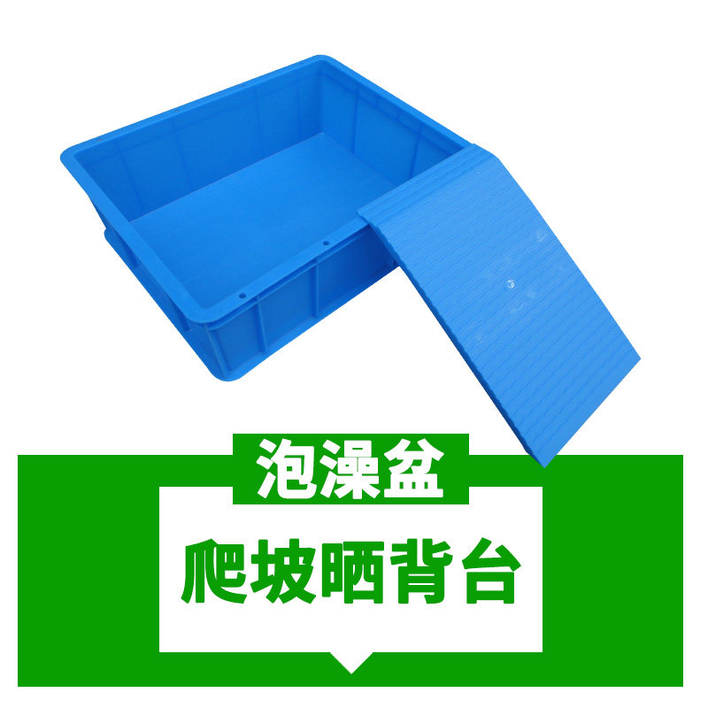 黄缘带爬坡晒背台半水龟洗澡盆大号泡澡盆，让你的宠物享受五星级SPA！-爬宠缸-淘宝好物网