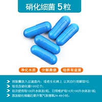 5 капсул нитрифицирующих бактерий