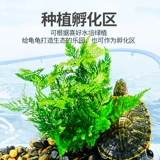 Танка черепаха с солнцем -танком Специальный аквариум бразильский