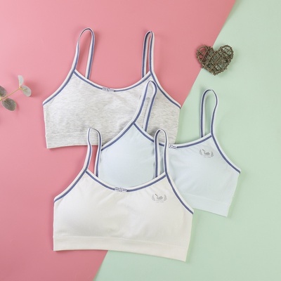 【2件装】女孩发育期中小学生纯棉内衣文胸