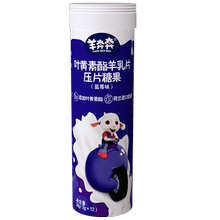 【新包装】佳贝艾特羊乳高钙奶片24g