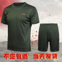 New summer physical training suit mens physical fitness quick-dry T shirt mens and womens physical fitness 07-6619518D